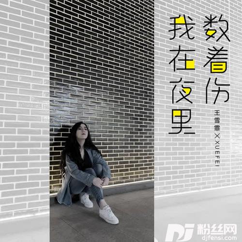 我在夜里数着伤
