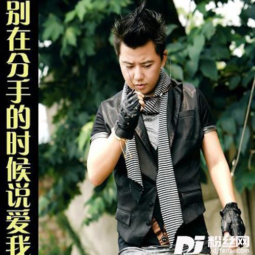 别在分手的时候说爱我