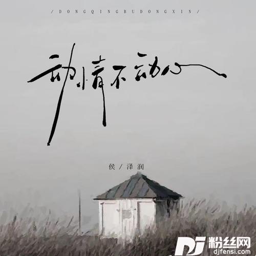 动情不动心DJR7版的专辑