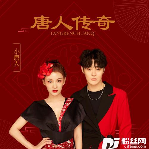 唐人传奇DJ名龙版