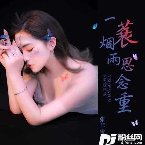 一蓑烟雨思念重DJ版