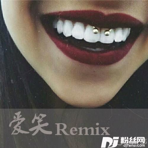 太过于爱你是我的致命弱点DJ版的专辑
