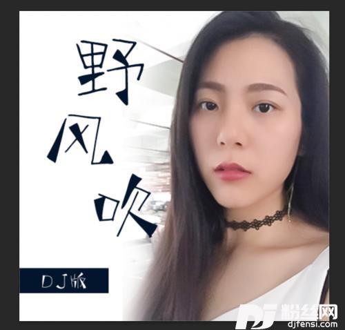 野风吹DJ名龙版的专辑