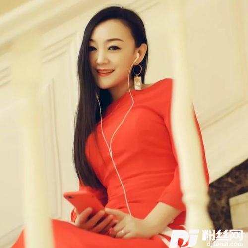 忠情dj