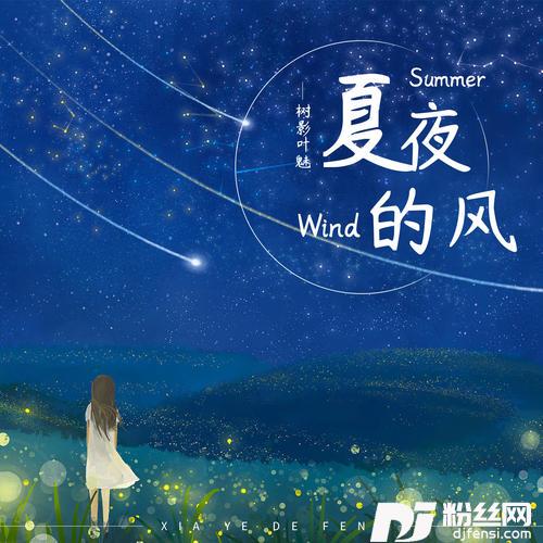 夏夜的风