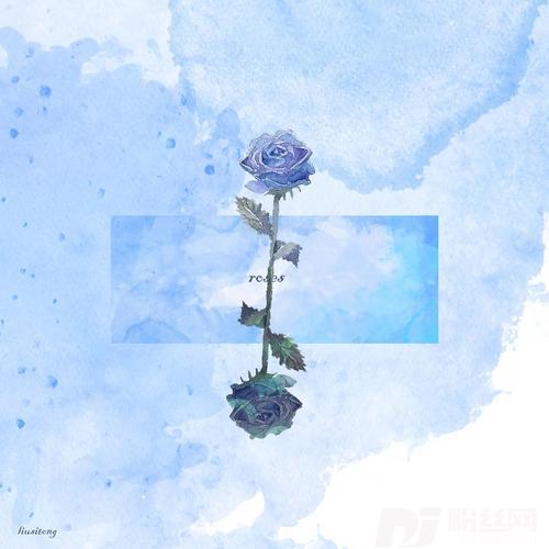 月季和玫瑰的专辑