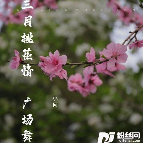 三月桃花情（广场舞）的专辑