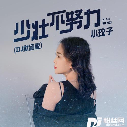 少壮不努力DJ默涵版的专辑