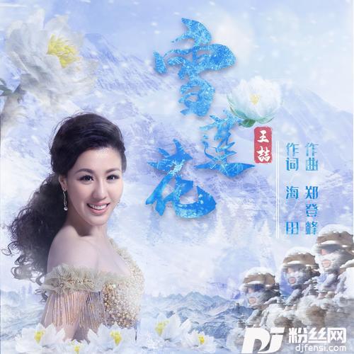 雪莲花的专辑