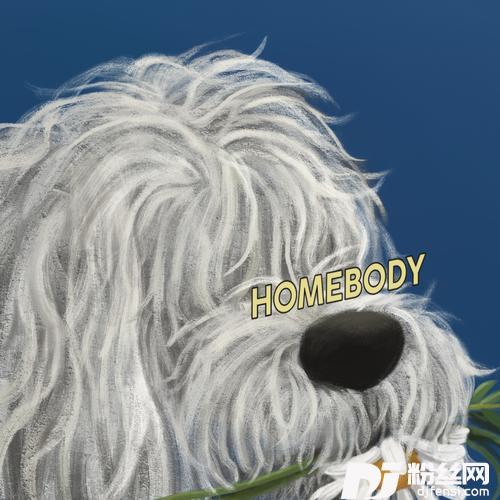 homebodyFeat.dori