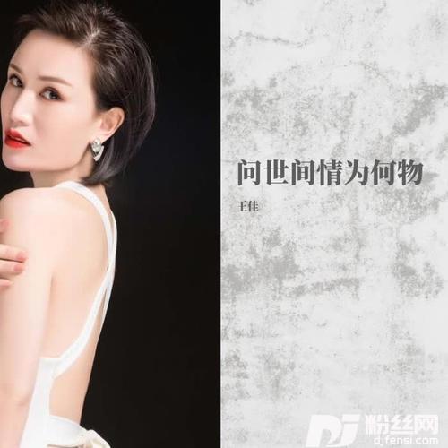 问世间情为何物的专辑