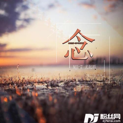念的专辑