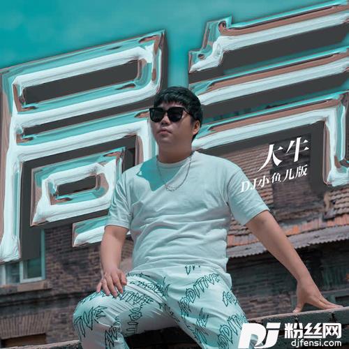 局气DJ小鱼儿版