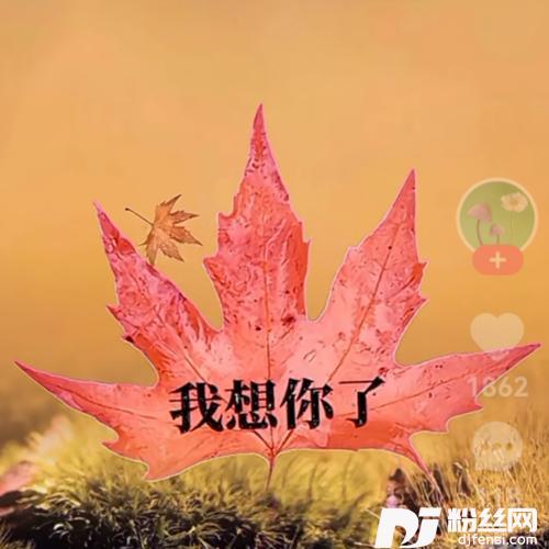 最后的枫叶cover:陈瑞的专辑