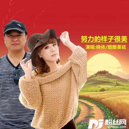 努力的样子很美的专辑