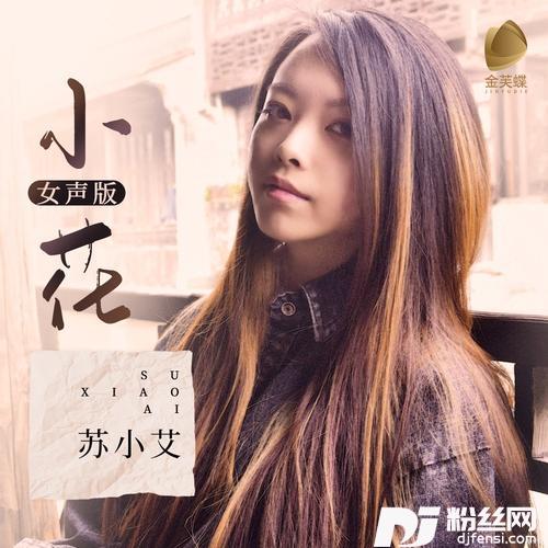 小花女声版的专辑