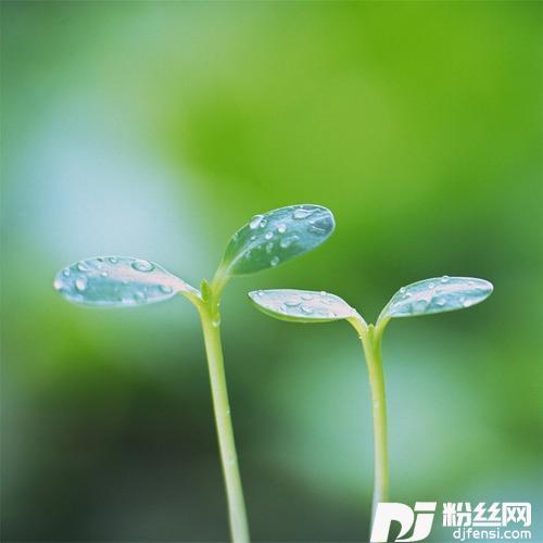 思忆如沙的专辑
