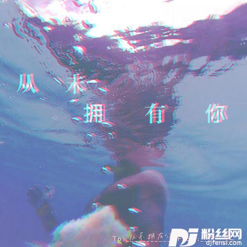 从未拥有你的专辑