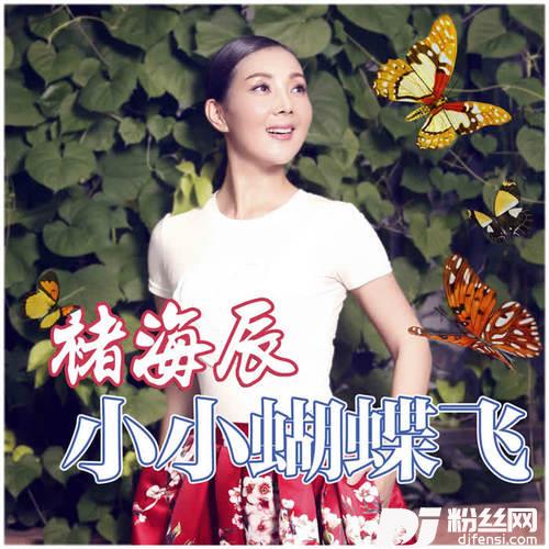 小小蝴蝶飞
