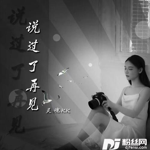 说过了再见合唱版