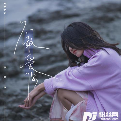 不敢爱你的专辑