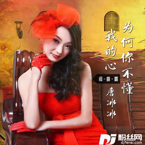 为何你不懂我的心的专辑