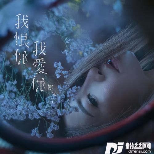 我恨你，我爱你