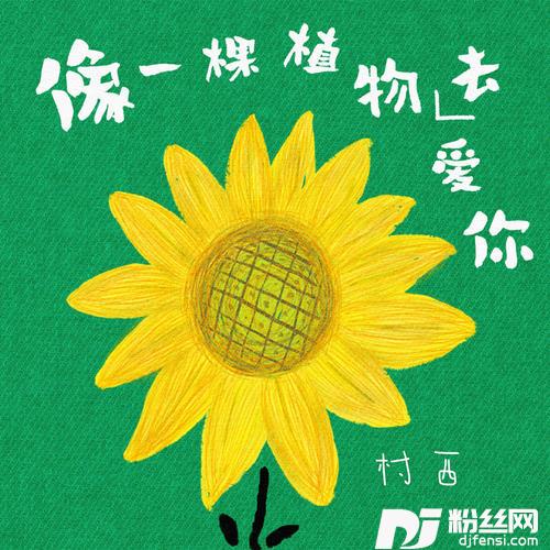像一棵植物去爱你的专辑