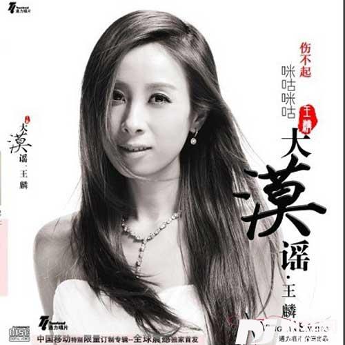 伤不起的专辑