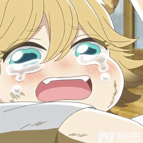痴情司