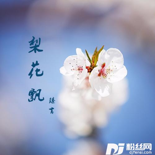 梨花飘