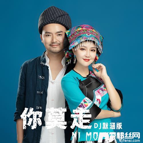 你莫走（DJ默涵版）