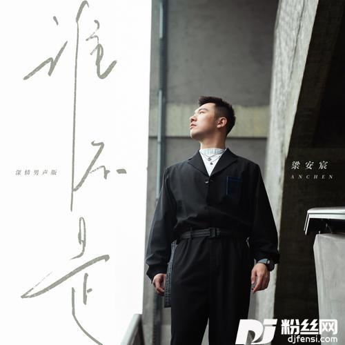 谁不是深情男声版的专辑