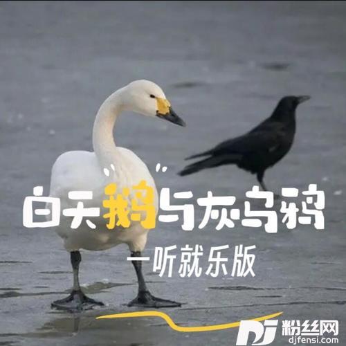 白天鹅与灰乌鸦（一听就乐版）的专辑