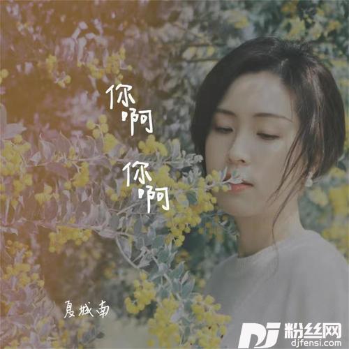 你啊你啊