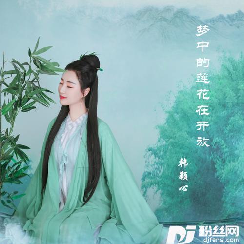 梦中的莲花在开放