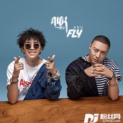 FLY正式版