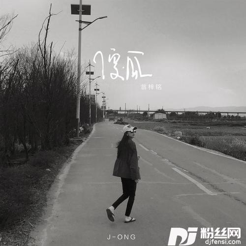 傻瓜