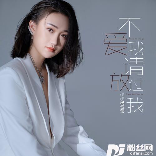 不爱我请放过我的专辑