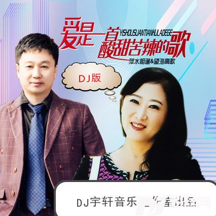 爱是一首酸甜苦辣的歌DJ宇轩2020Remix蓝调版的专辑