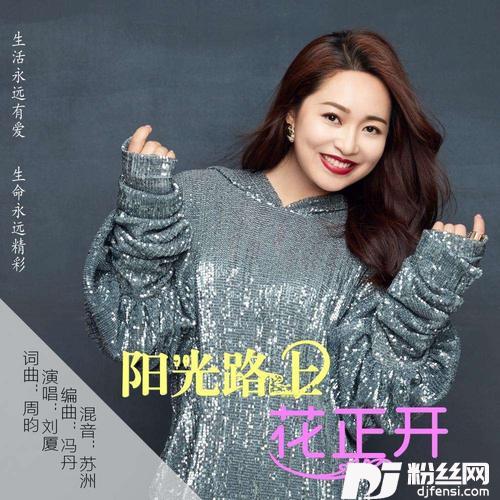 阳光路上花正开DJ何鹏版Remix的专辑