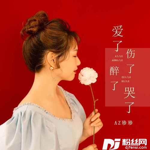爱了伤了醉了哭了DJ默涵版