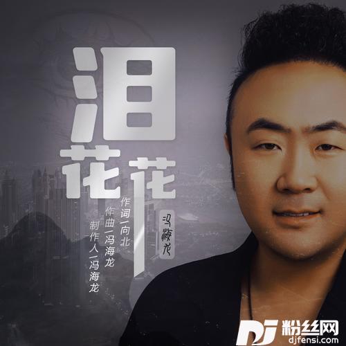 泪花花DJ版
