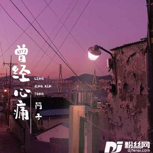 曾经心痛DJ默涵版