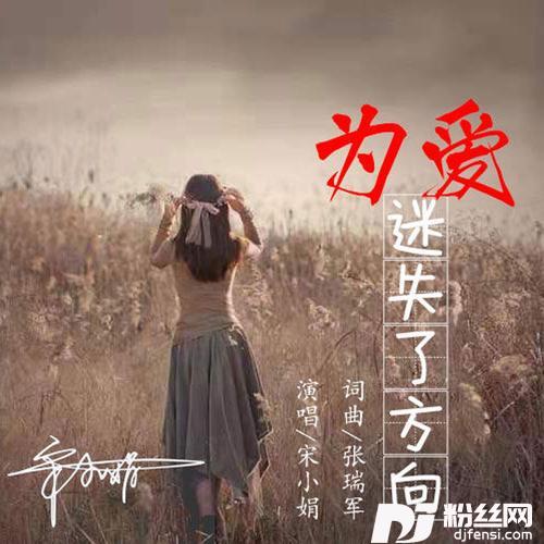 为爱迷失了方向的专辑