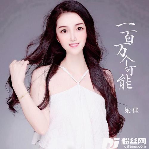 一百万个可能的专辑