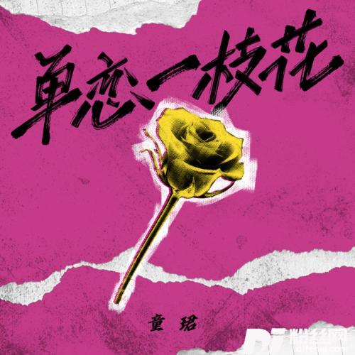 单恋一枝花女版