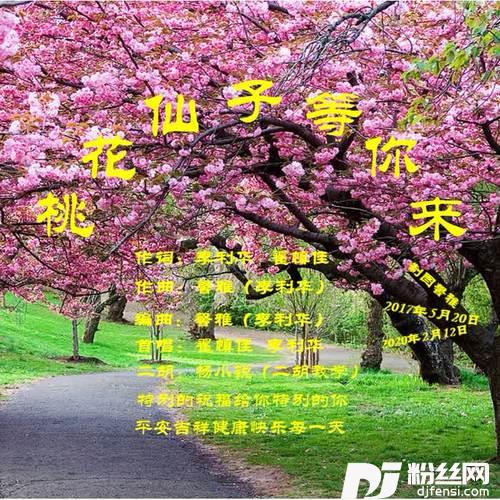 桃花仙子等你来（女版）