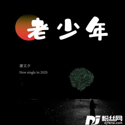 老少年的专辑