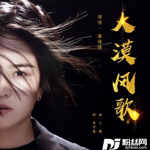 大漠风歌（DJ何鹏版）的专辑